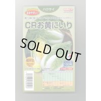 送料無料　[白菜]　CRお黄にいり　100粒　ペレット種子　タキイ種苗(株)