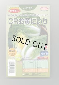 送料無料　[白菜]　CRお黄にいり　100粒　ペレット種子　タキイ種苗(株)