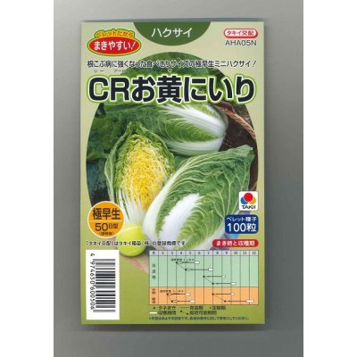 画像1: [白菜]　CRお黄にいり　100粒 ペレット種子　タキイ種苗（株）
