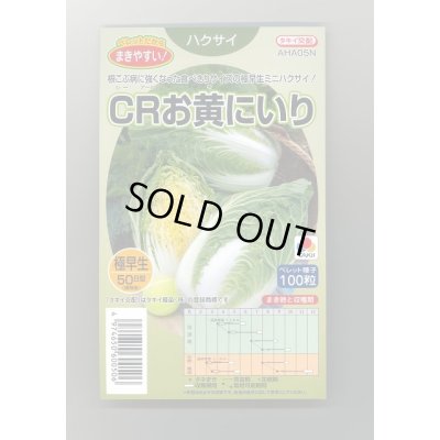 画像1: 送料無料　[白菜]　CRお黄にいり　100粒　ペレット種子　タキイ種苗(株)