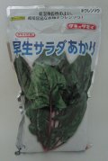 [ほうれんそう]　早生サラダあかり　1L　タキイ種苗(株)