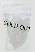 [ほうれんそう]　早生サラダあかり　1L　タキイ種苗(株)