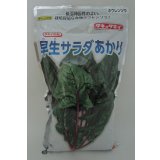 [ほうれんそう]　早生サラダあかり　1L　タキイ種苗(株)
