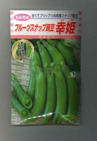 送料無料　[えんどう]　フルーツスナップ豌豆　幸姫　20ml　松永種苗(株)