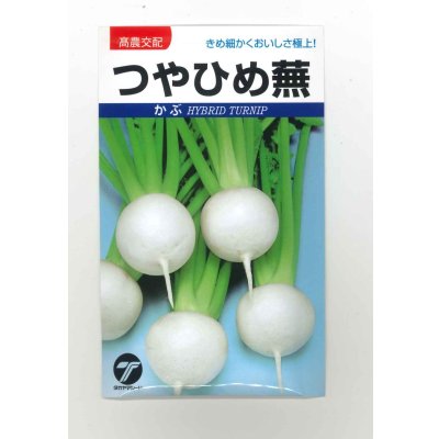 画像1: [かぶ]　つやひめ蕪　10ｍｌ　タカヤマシード