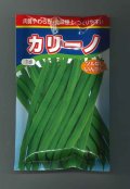 送料無料　[いんげん]　カリーノ　1dl　渡辺農事