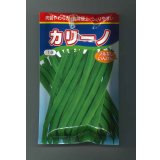送料無料　[いんげん]　カリーノ　1dl　渡辺農事