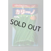 送料無料　[いんげん]　カリーノ　1dl　渡辺農事（株）