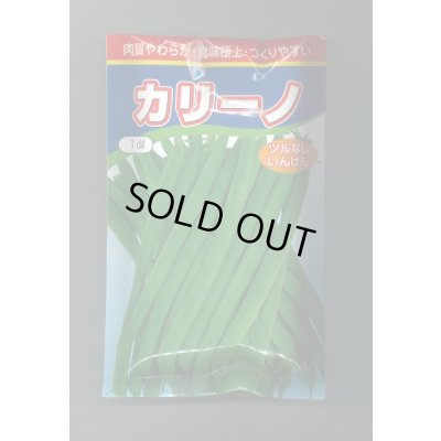 画像1: 送料無料　[いんげん]　カリーノ　1dl　渡辺農事（株）