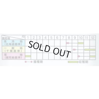 画像4: 送料無料[大根]　秋相撲　ペレット種子5000粒　(株)サカタのタネ
