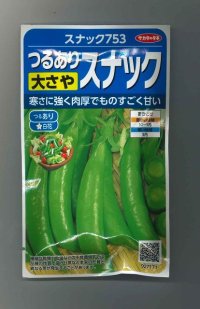 [えんどう]　スナックえんどう　スナック７５３　約55粒　サカタのタネ（株）実咲300