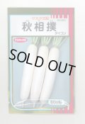 送料無料　[大根]　秋相撲　800粒　(株)サカタのタネ