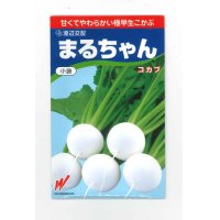 [かぶ]　まるちゃん（こかぶ）1000粒　渡辺農事（株）