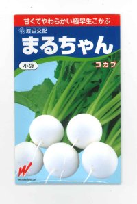 [かぶ]　まるちゃん（こかぶ）1000粒　渡辺農事（株）