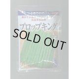 送料無料　[いんげん]　プロップキング　1dl　(株)サカタのタネ