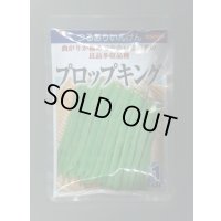送料無料　[いんげん]　プロップキング　1dl　(株)サカタのタネ