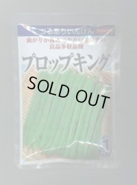 送料無料　[いんげん]　プロップキング　1dl　(株)サカタのタネ