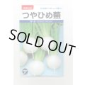 送料無料　[かぶ]　つやひめ蕪　3ml（約700粒）　(株)タカヤマシード