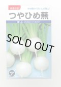 送料無料　[かぶ]　つやひめ蕪　3ml（約700粒）　(株)タカヤマシード