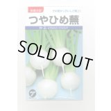 送料無料　[かぶ]　つやひめ蕪　3ml（約700粒）　(株)タカヤマシード
