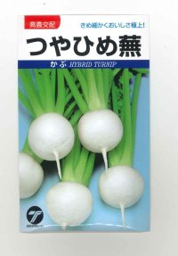 [かぶ]　つやひめ蕪　3ｍｌ　（株）タカヤマシード