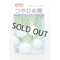 送料無料　[かぶ]　つやひめ蕪　3ml（約700粒）　(株)タカヤマシード