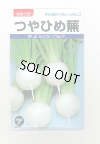 送料無料　[かぶ]　つやひめ蕪　3ml（約700粒）　(株)タカヤマシード