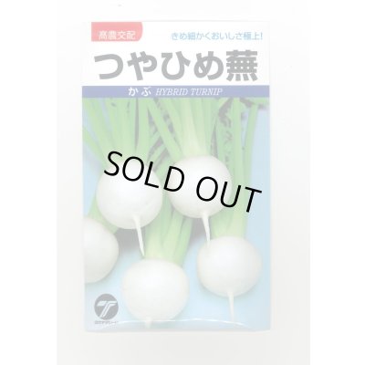 画像1: 送料無料　[かぶ]　つやひめ蕪　3ml（約700粒）　(株)タカヤマシード
