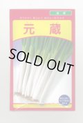 送料無料　[ねぎ]　元蔵　20ml　武蔵野種苗園