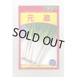 送料無料　[ねぎ]　元蔵　20ml　武蔵野種苗園
