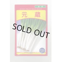 送料無料　[ねぎ]　元蔵　20ml　武蔵野種苗園