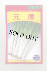 送料無料　[ねぎ]　元蔵　20ml　武蔵野種苗園