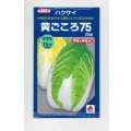 送料無料　[白菜]　黄ごころ75　20ml　タキイ種苗(株)