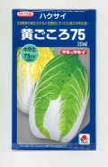 送料無料　[白菜]　黄ごころ75　20ml　タキイ種苗(株)