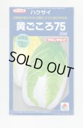 送料無料　[白菜]　黄ごころ75　20ml　タキイ種苗(株)