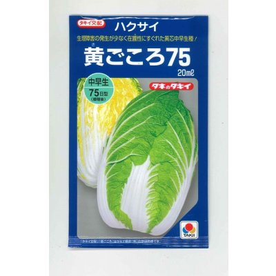 画像1: 送料無料　[白菜]　黄ごころ75　20ml　タキイ種苗(株)