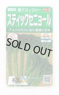 送料無料　[ブロッコリー]　スティックセニョール　約95粒　(株)サカタのタネ　実咲450（002931）
