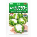 送料無料　[カリフラワー]　美星　約100粒　(株)サカタのタネ　実咲450（002925）