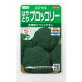 送料無料　[ブロッコリー]　ピクセル　約100粒　(株)サカタのタネ　実咲450（002927）
