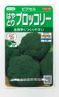 送料無料　[ブロッコリー]　ピクセル　約100粒　(株)サカタのタネ　実咲450（002927）