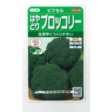 送料無料　[ブロッコリー]　ピクセル　約100粒　(株)サカタのタネ　実咲450（002927）