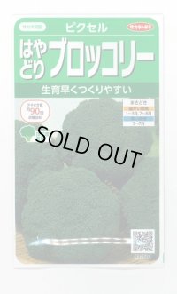 [ブロッコリー]　ピクセル　約100粒　サカタのタネ（株）　実咲400