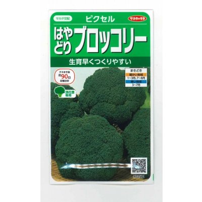 画像1: 送料無料　[ブロッコリー]　ピクセル　約100粒　(株)サカタのタネ　実咲450（002927）