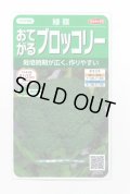 送料無料　[ブロッコリー]　緑嶺　約110粒　(株)サカタのタネ　実咲450（002930）
