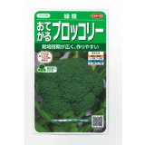 送料無料　[ブロッコリー]　緑嶺　約110粒　(株)サカタのタネ　実咲450（002930）