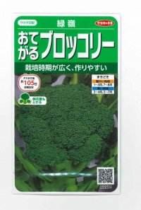 送料無料　[ブロッコリー]　緑嶺　約110粒　(株)サカタのタネ　実咲450（002930）