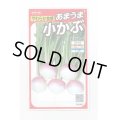 送料無料　[かぶ]　あやめ雪　約600粒　(株)サカタのタネ　実咲450（003100）