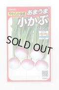 送料無料　[かぶ]　あやめ雪　約600粒　(株)サカタのタネ　実咲450（003100）