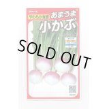 送料無料　[かぶ]　あやめ雪　約600粒　(株)サカタのタネ　実咲450（003100）