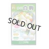 送料無料　[かぶ]　白駒蕪　4ml　大和農園